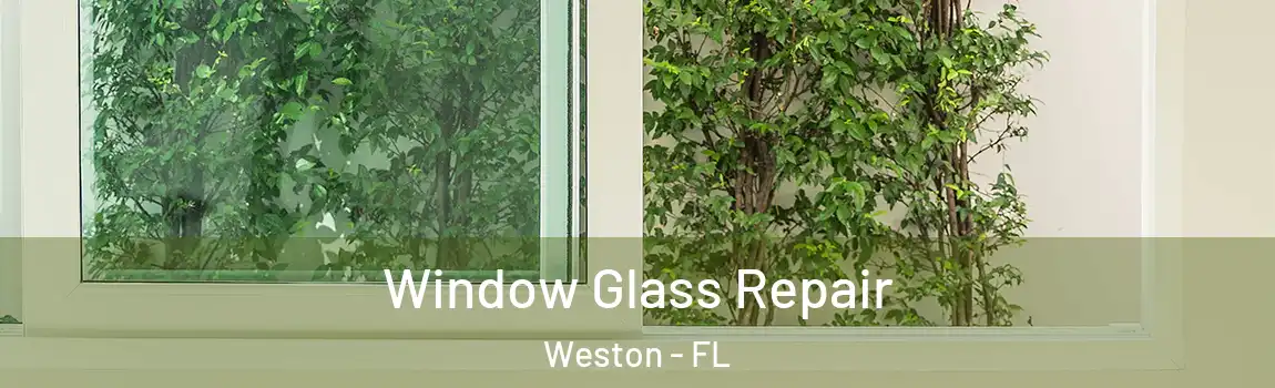 Window Glass Repair Weston - FL